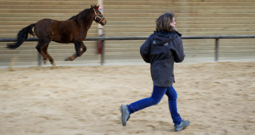 Delphine playing with Phoebus