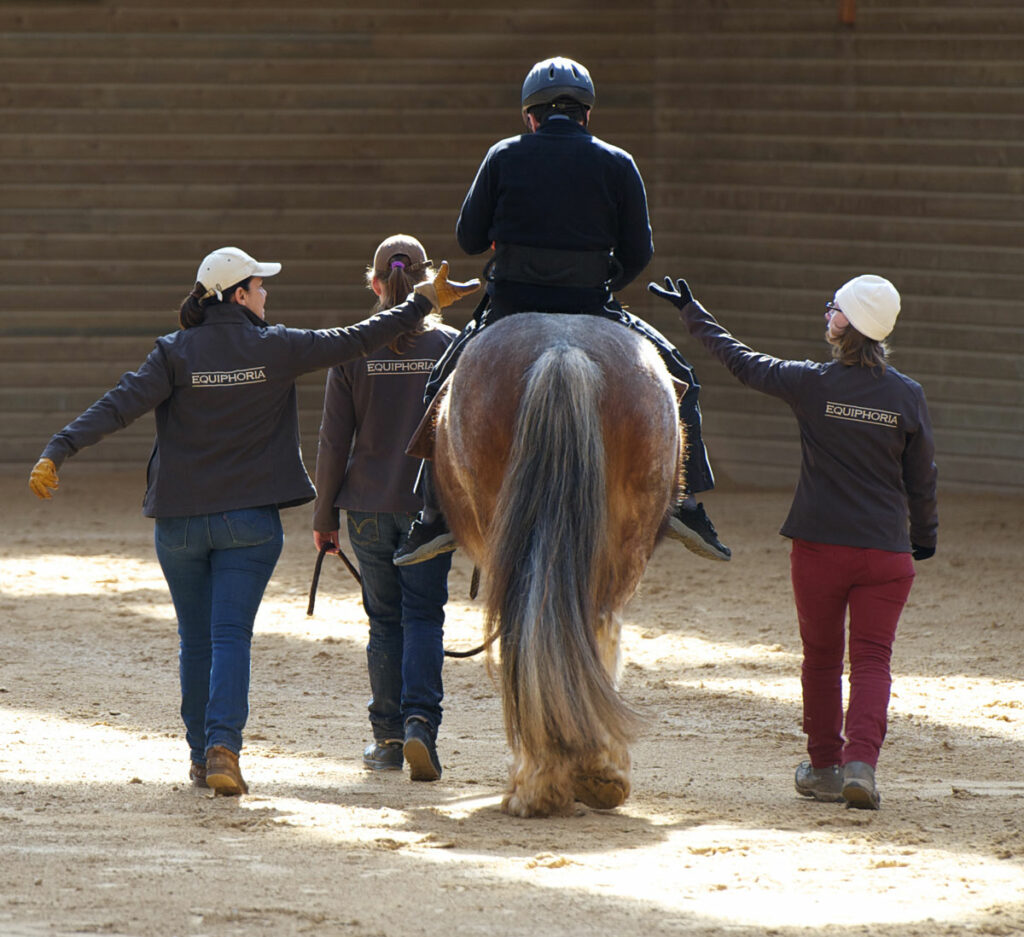 An equine-facilitated psychotherapy EFP session